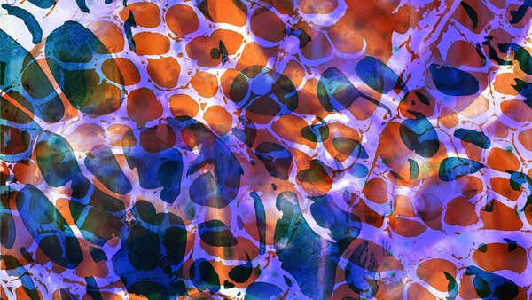 Verena Stefan_Häutungen (c) Dinah Wernli